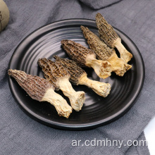 أسعار السوق الجاف Morchella esculenta لالفطر